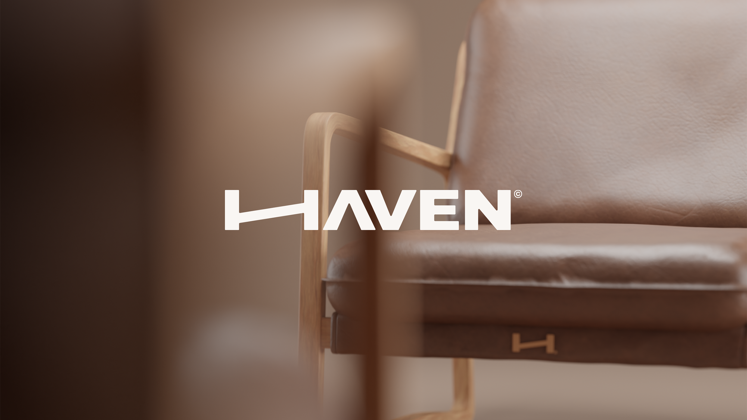Haven Branding & Website Visual Identity System